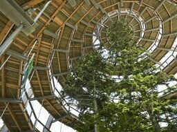 Der Aussichtsturm des Baumwipfelpfades im Nationalpark Bayerischer Wald von unten fotografiert.
