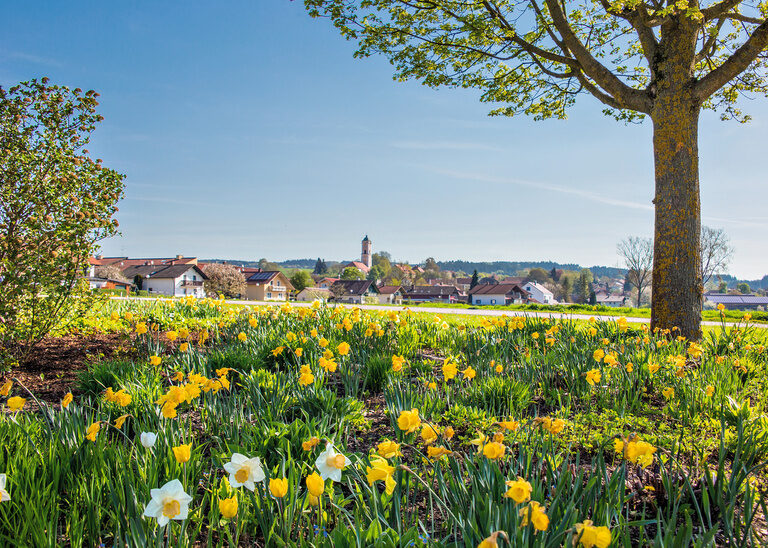 Eine blühende Blumenwiese mit vielen schönen bunten Blumen mit Bad Birnbach im Hintergrund.