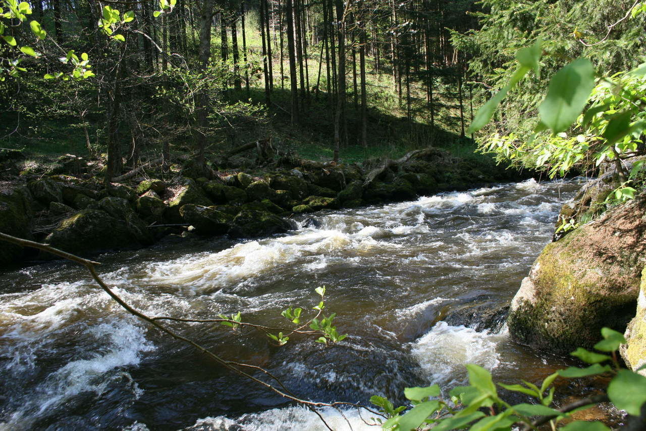 Böhmerwald Wandern Wanderungen Sehenswürdigkeiten Böhmen Südböhmen Prag