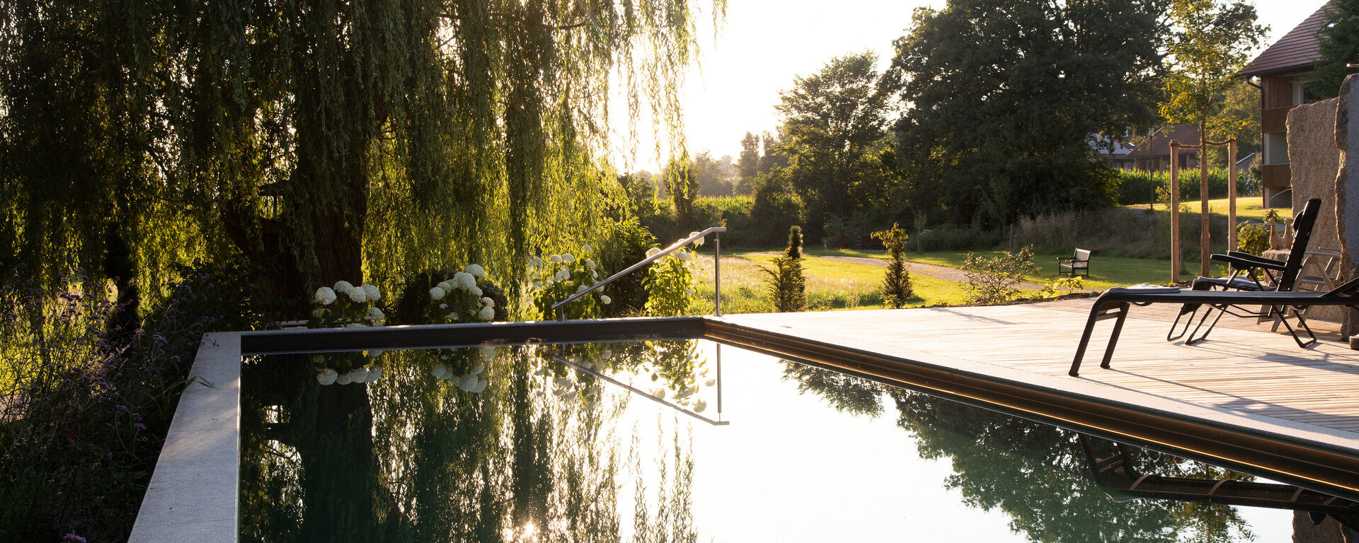 Ein einladender Naturpool mit einer Trauerweide im Hintergrund - Freizeit und Erholung pur im Hotel Quellenhof