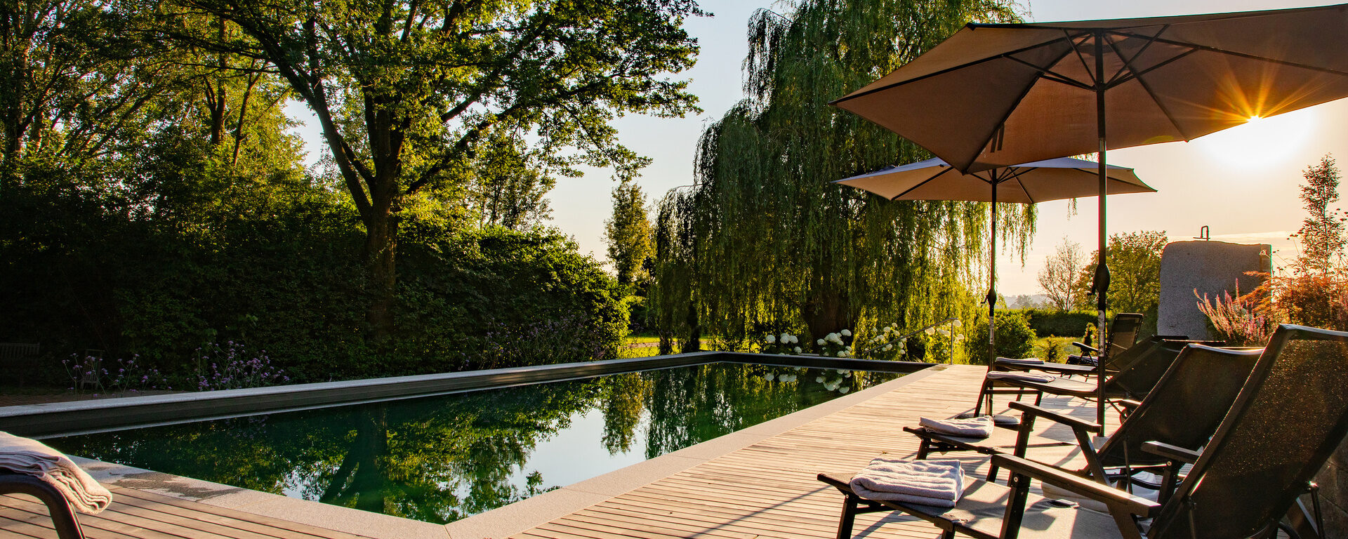 Sonnenterrasse mit Sonnenliegen und Schirmen beim Naturpool des Wellnesshotels Quellenhof.