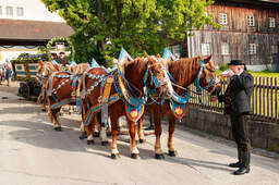 Ein festliches Pferdegespann mit Kutsche in den Straßen von Bad Birnbach im Rottal.