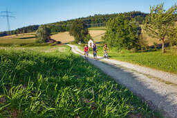 Eine Gruppe von Radfahren radelt durch das grüne Rottal an einem schönen Tag
