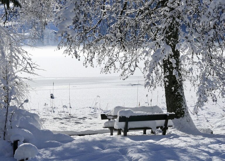 Eine verschneite Bank neben einem Baum in einer Rottaler Winterlandschaft