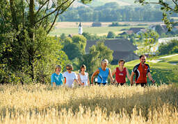Eine Nordic-Walking-Gruppe erklimmt einen kleinen Hügel bei Bad Birnbach